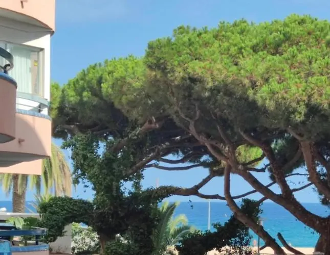 Apartamento Ridaura
