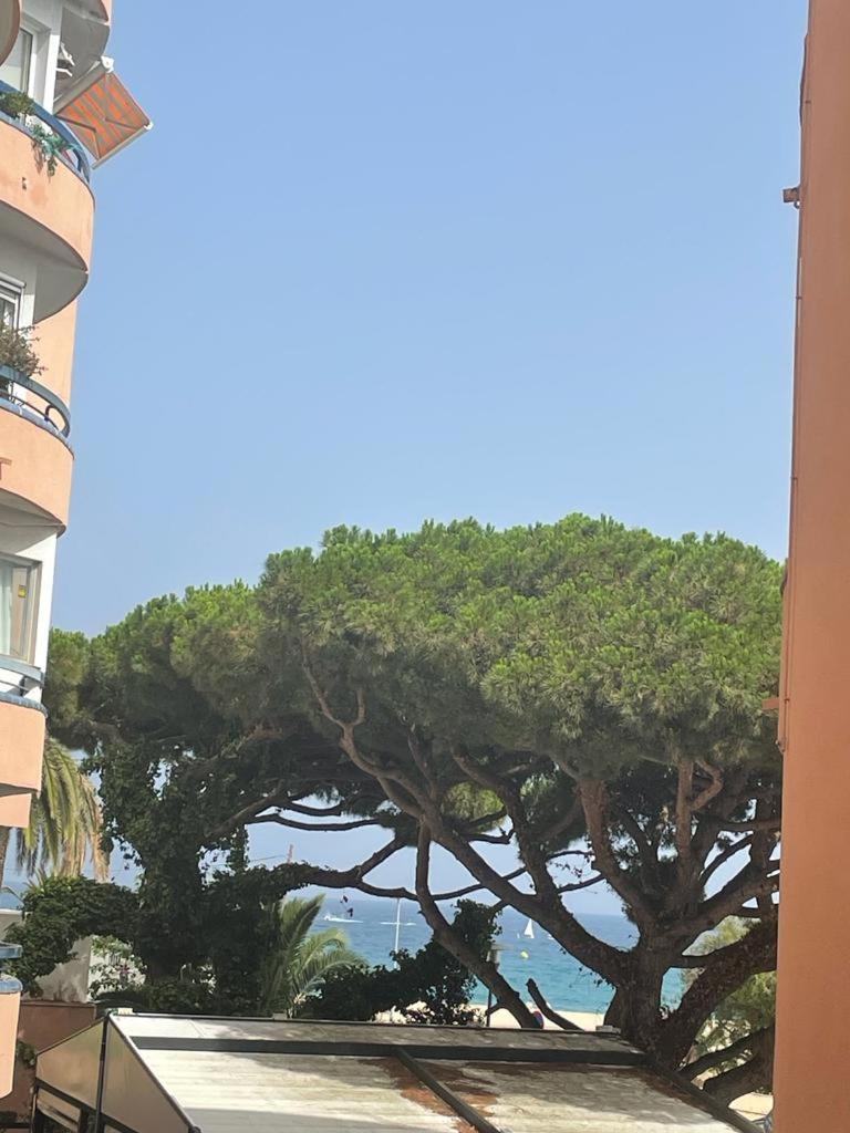 Ridaura * Castell-Platja d'Aro